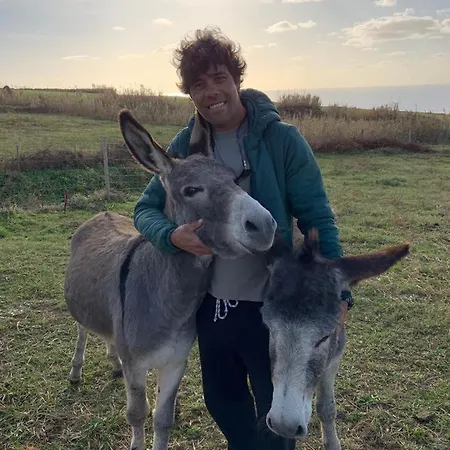 Casa Graceland Σπίτι διακοπών