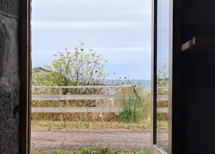 Casa Graceland Дом отдыха *