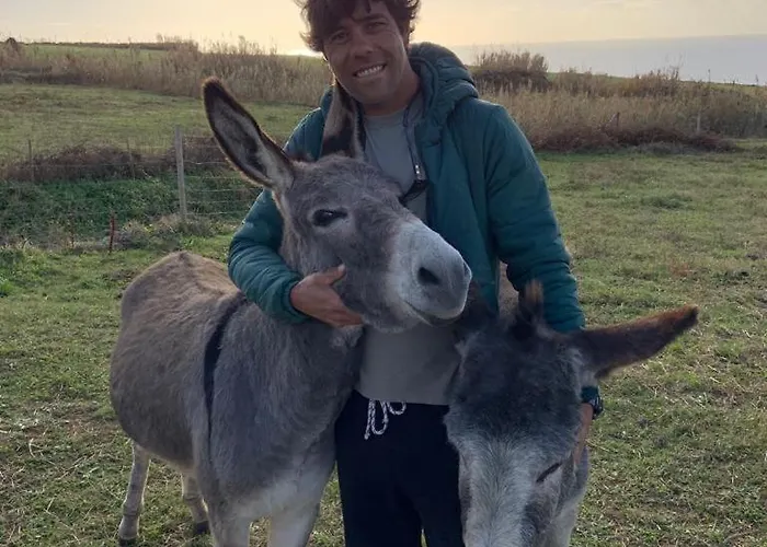 Casa Graceland Дом отдыха