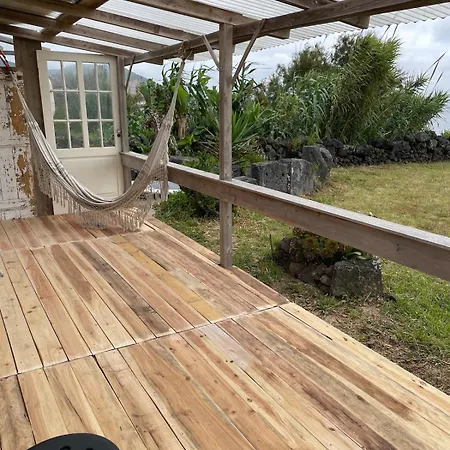 Casa Graceland Holiday home